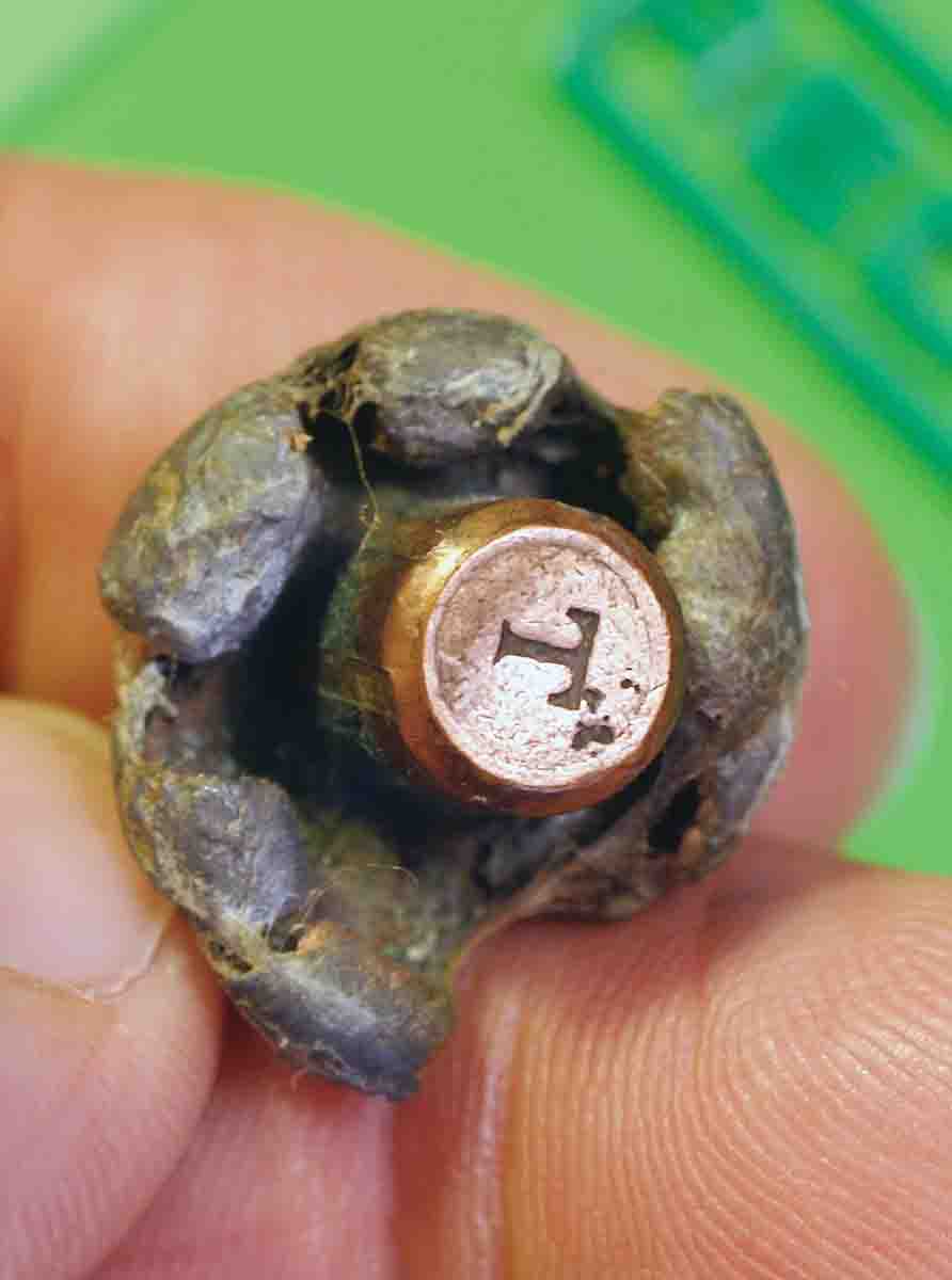 This is typical expansion of the original Trophy Bonded Bear Claw, recovered from a game animal.